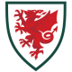 Wales VM 2022 Herre